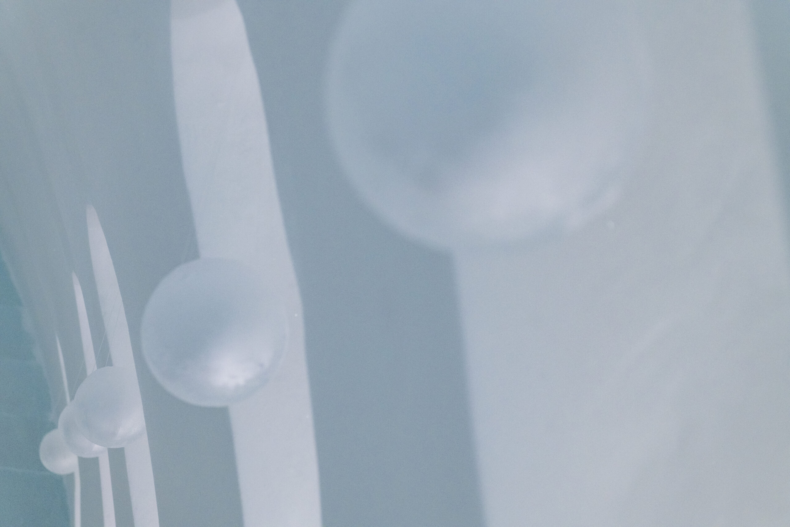 Ceremony Hall: Echo, Luc Voisin & Mathieu Brison, France, ICEHOT